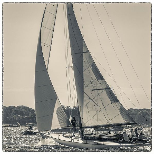 New England-Massachusetts-Cape Ann-Gloucester-Gloucester Schooner Festival-schooner parade of sail